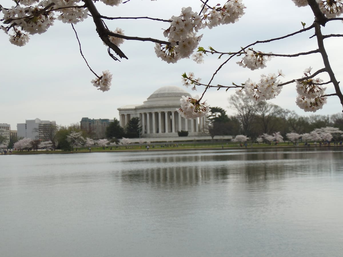 Washington DC & New York 2015